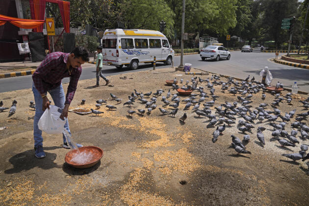 El lunes 11 de abril de 2022, un hombre da agua a los pájaros en Nueva Delhi.