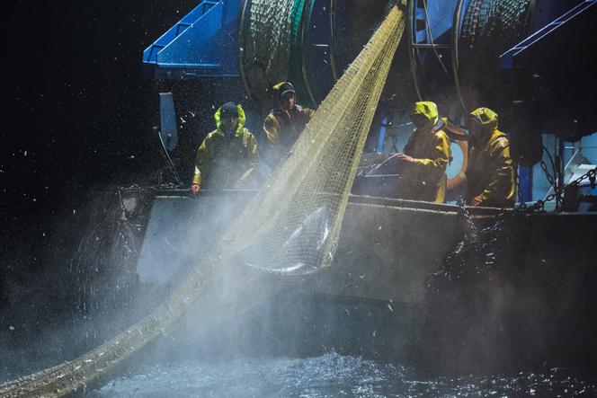 Des pêcheurs dans le golfe de Gascogne, en janvier 2020.