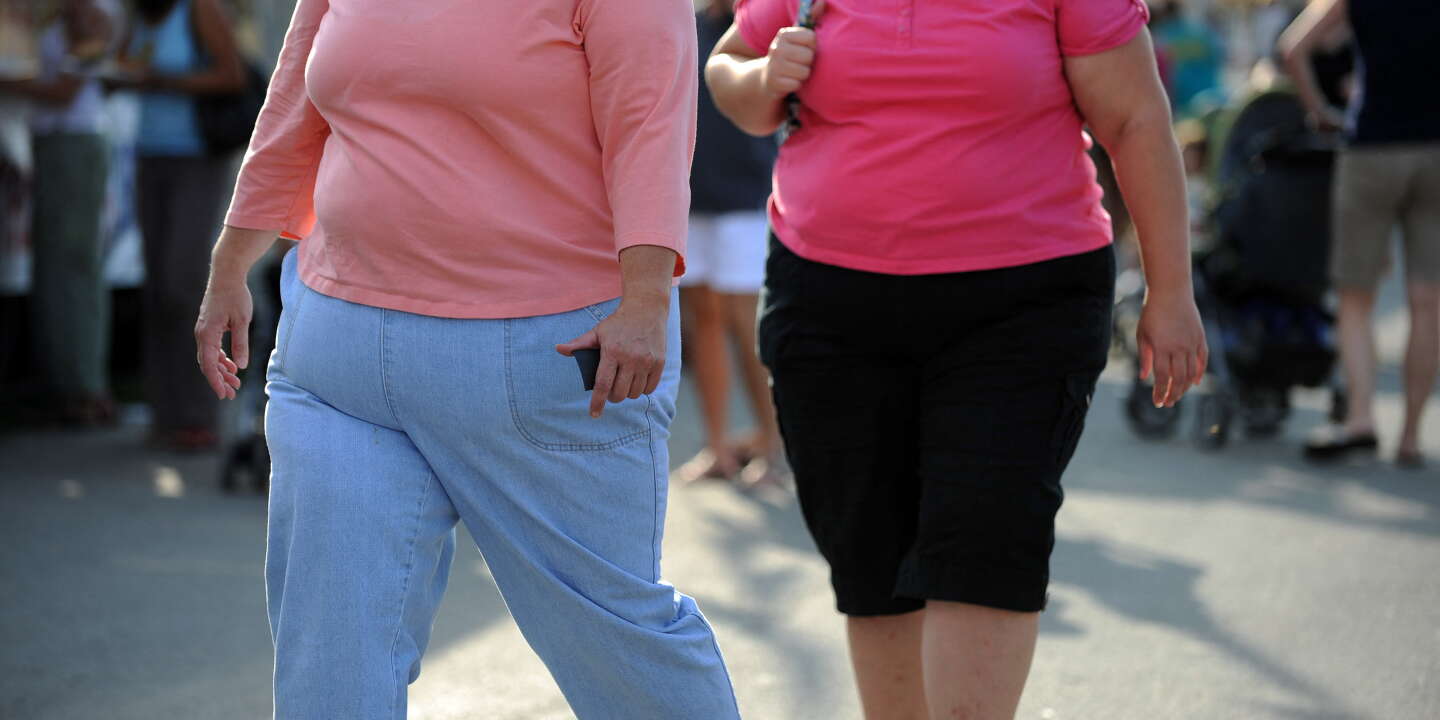 Bijna een kwart van de volwassenen in Europa wordt nu als ‘zwaarlijvig’ beschouwd