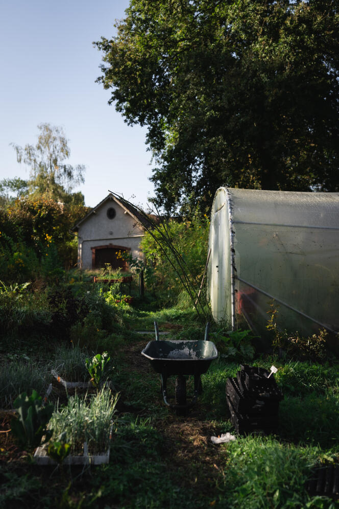 Chef Cybèle Idelot's vegetable garden in her domain in Bruyères, in Gambais (Yvelines).