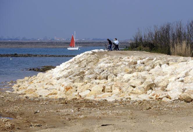 Excursionistas caminan sobre rocas apiladas en forma de dique para contener la crecida de las aguas en caso de tormenta, en la localidad de Portes-en-Ré (Charente-Maritime), en 2010.