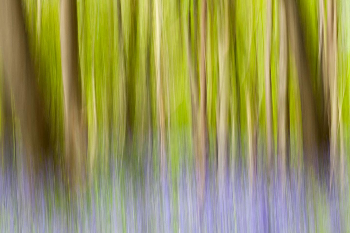 La loi antidéforestation reporté d’un an au Parlement européen, avec le soutien de l’extrême droite