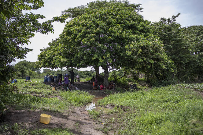 L’ancien site d’eau, qui servait à arroser les champs, est aujourd’hui sec, et sert désormais d’abri aux travailleurs, à Assoum, en Côte d'Ivoire, le 6 mai 2022.