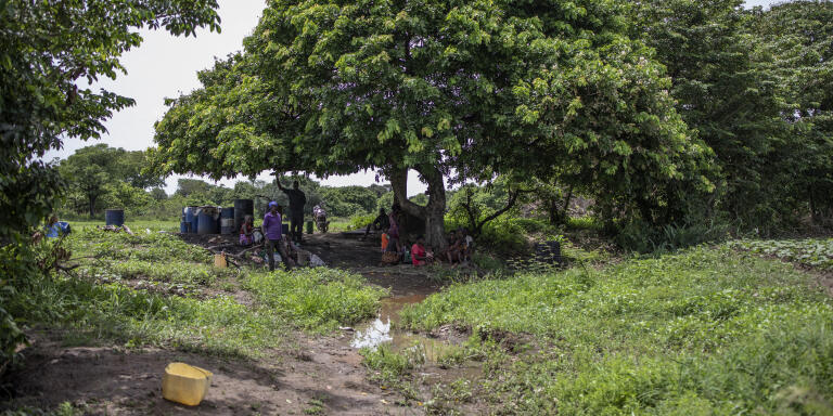 The old water site. Where the water used to pass to water the fields is now dry. It is now used as a shelter for workers.Assoum 2, Côte d'Ivoire, May 6, 2022
