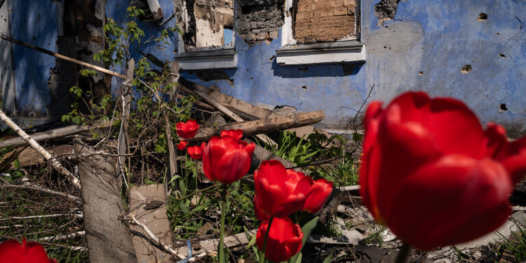 The village, Ukraine, in the northeast region of Kiev. Houses bear the scars of the fighting. It is spring, the tulips have grown.