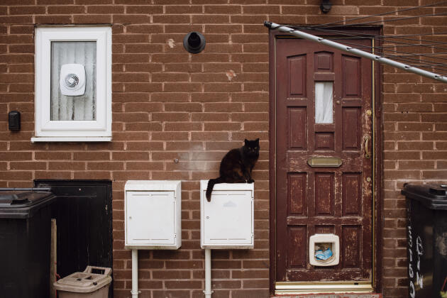 Un chat assis sur le compteur de gaz d’une maison de Radcliffe, le 6 mai.