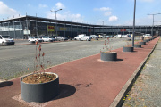 Des arbrisseaux ont été plantés à la hâte pour remplacer les arbres abattus sans concertation sur ce parking commercial près de Blois.