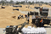 Des ouvriers déchargent des remorques de blé près d’Amritsar, dans le nord-ouest de l’Etat du Pendjab, le 16 avril.