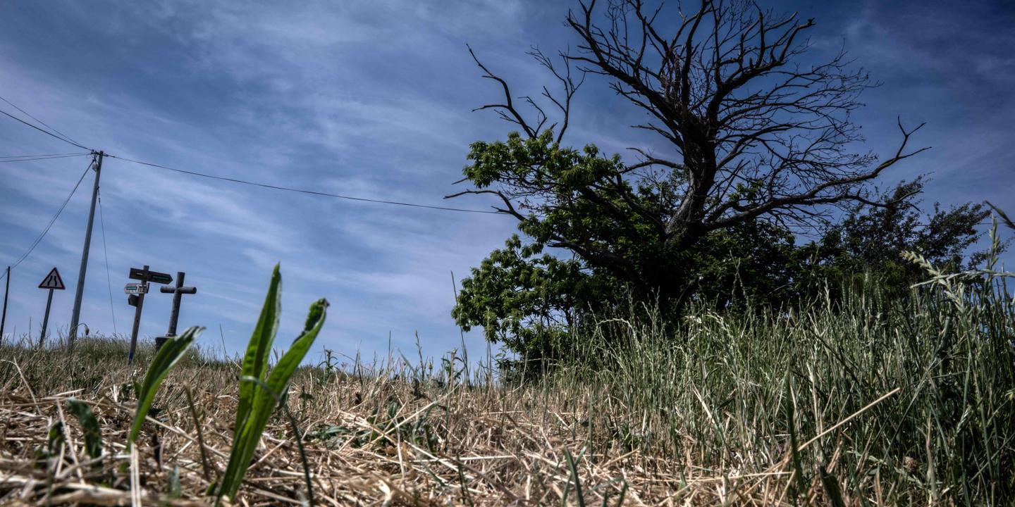 La France se prépare à une vague de chaleur très précoce à partir de mardi