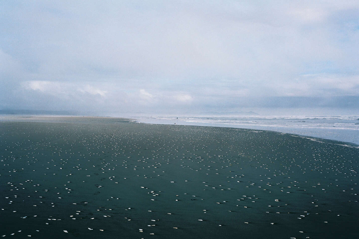 En Chile, la isla de Chiloé, un paraíso atormentado para la fotógrafa Céline Villegas