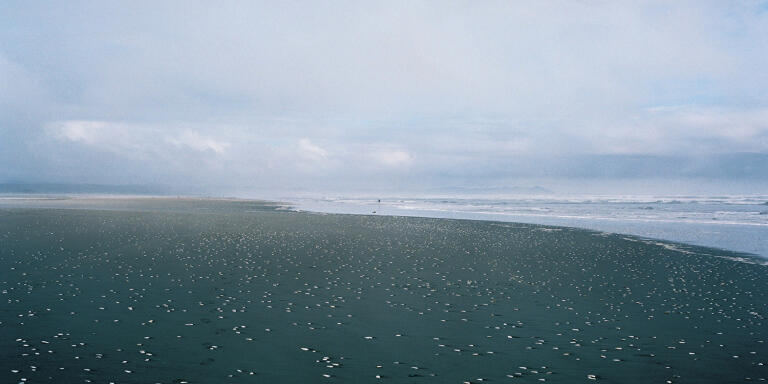 plage sauvage et deserte de la côte pacifique de l'île de Chiloé