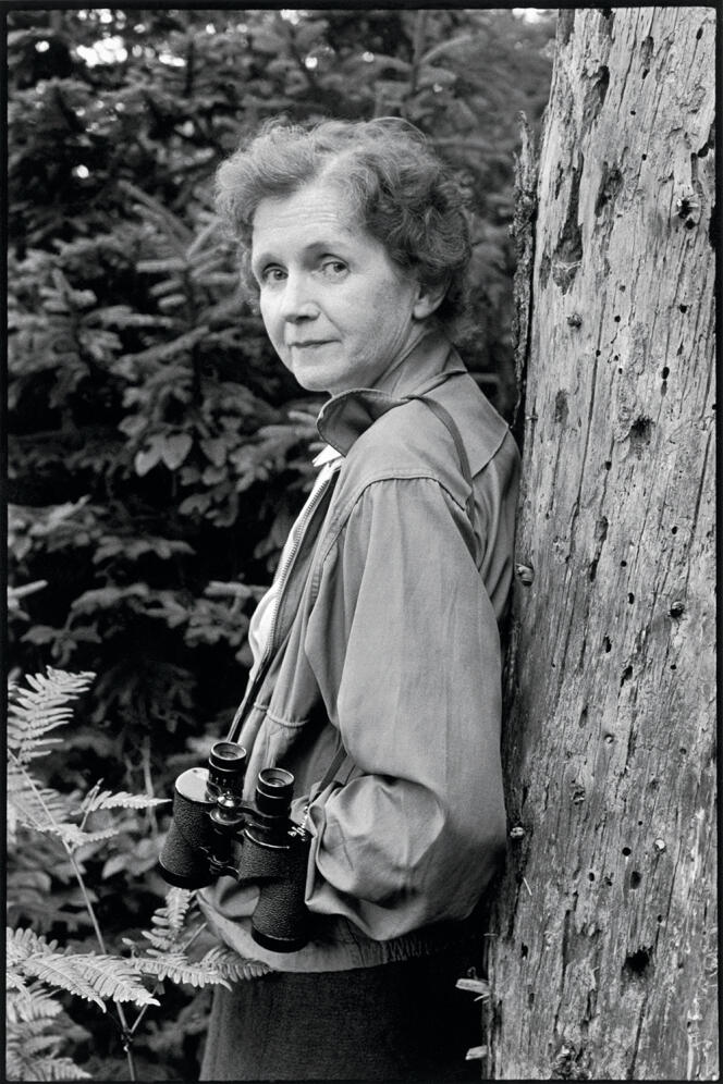 American biologist Rachel Carson in 1962.