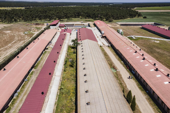 Une usine à cochons Innoporc, dans la ville de Santa Maria la Real de Nieva (Ségovie), en Espagne, le 13 mai 2022.