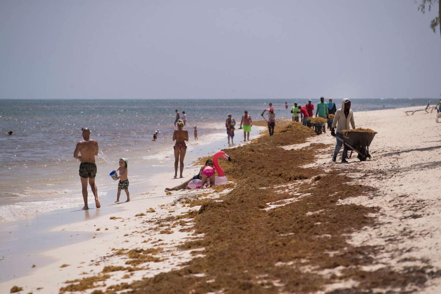 A Punta Cana, en République dominicaine, les dollars envolés du tourisme « tout inclus »