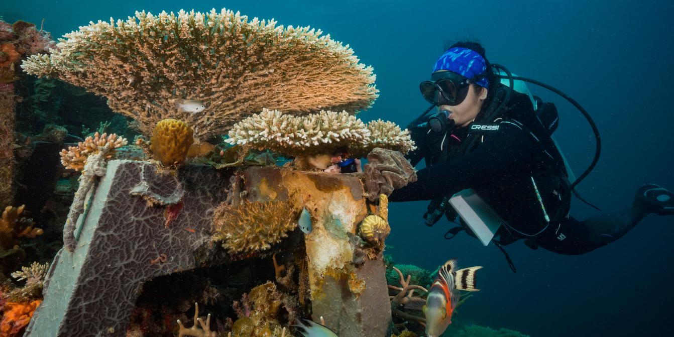 Villages take action to save damaged Philippines coral reefs