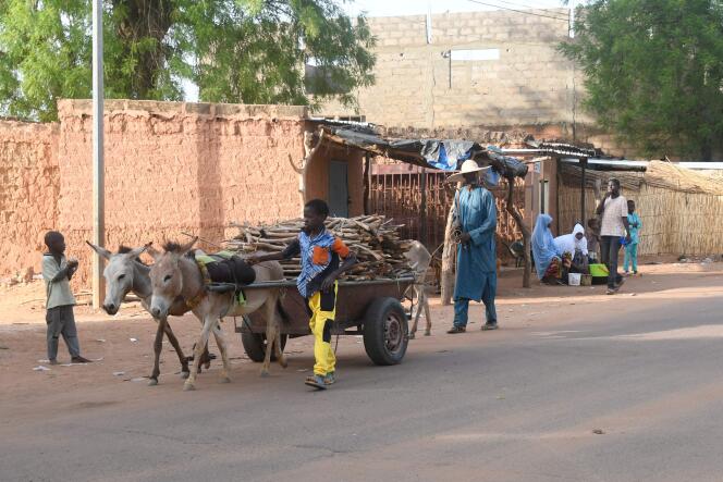 Transport de bois dans la zone des « trois frontières » du Niger-Mali-Burkina Faso, à Torodi (Niger), le 2 juin 2022.