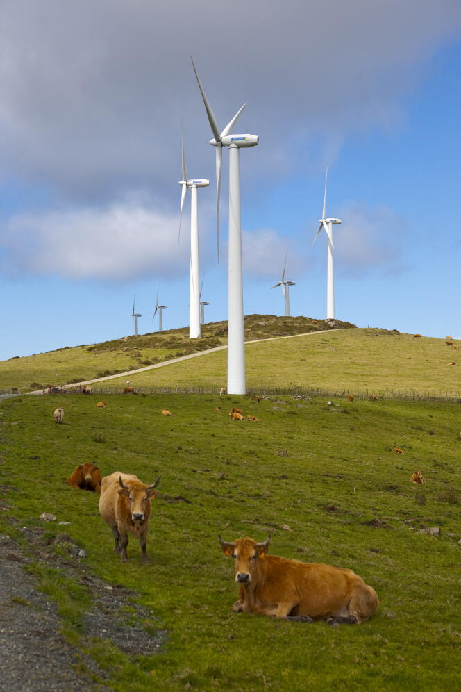 Des éoliennes à La Corogne (Galice), en avril 2009.