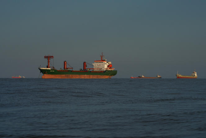 Des cargos, dont certains transportent des céréales, attendent sur la mer Noire avant de pouvoir pénétrer dans le canal de Sulina (Roumanie), le 4 juin 2022.