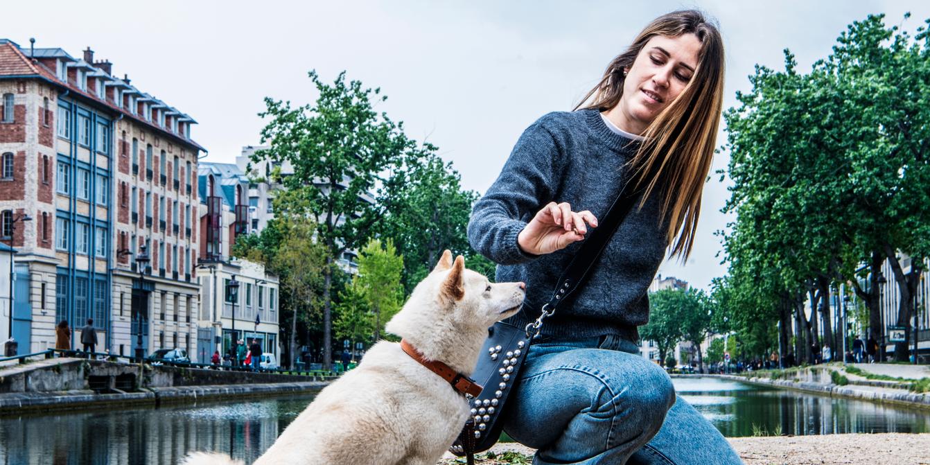 Small dogs have become millennials new best friends
