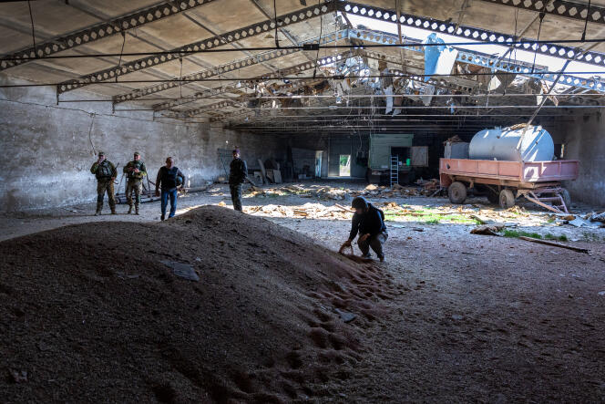 Des soldats ukrainiens inspectent du blé dans la région de Kherson, le 24 février.