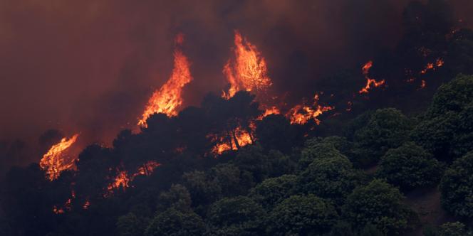 L’Espagne, confrontée depuis une semaine à une vague de chaleur très intense, doit aussi faire face à une série d’incendies.