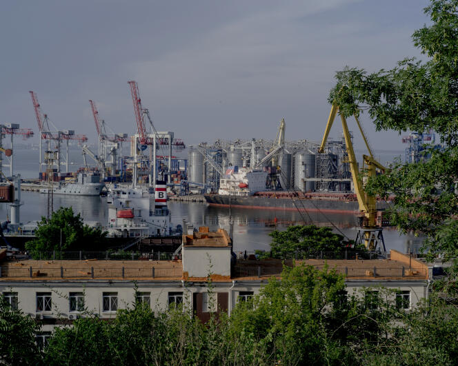 A view of the blocked wartime commercial port terminal on the Black Sea in Odesa, Ukraine, June 2, 2022.