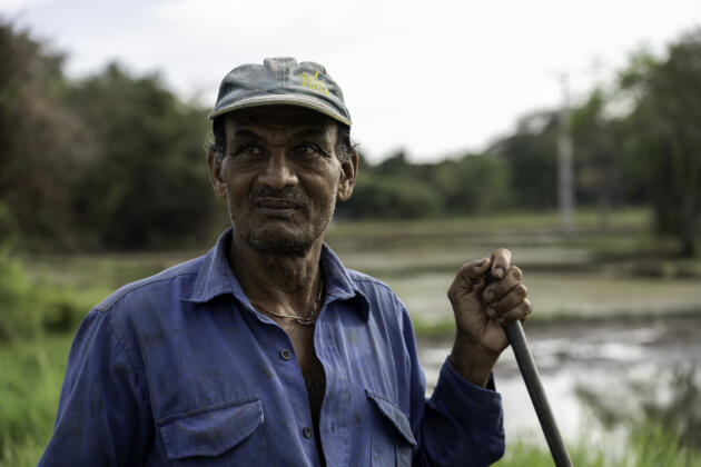 Yanaka Lal Weerasinghe, paysan de 61 ans, à Anuradhapura, au Sri Lanka, le 13 avril 2022.
