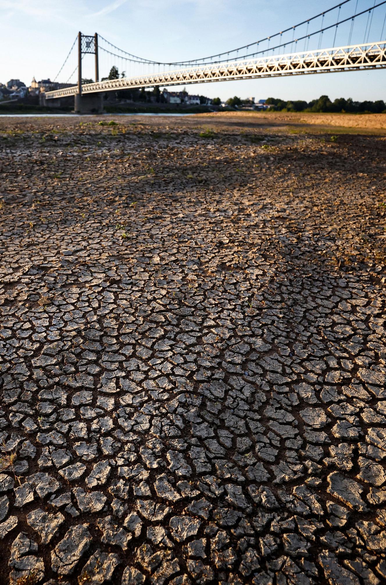 Le lit de la Loire asséché à Ancenis-Saint-Géréon (Loire-Atlantique), le 13 juin 2022. 