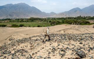 An archaeologist walks at the Caral archaeological complex, in Supe, Peru on January 13, 2021. - The Covid-19 coronavirus pandemic in Peru is threatening the 5,000-year-old citadel, one of the oldest civilizations in the Americas, as the complex lands have been invaded by rural workers who claiming hunger and needs due to the pandemic, have been planting avocados, fruit trees, and beans. (Photo by ERNESTO BENAVIDES / AFP)