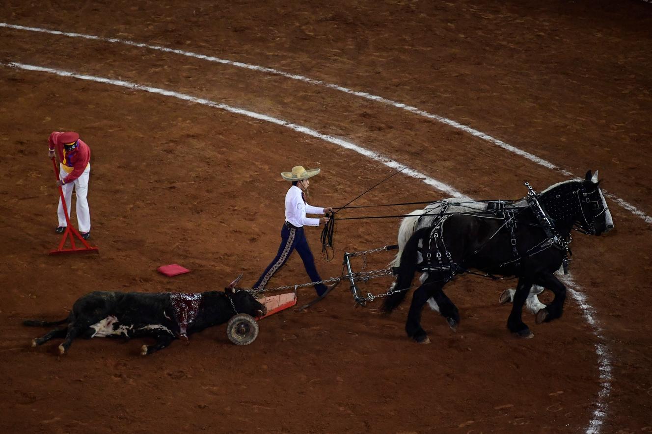 Court in Mexico City permanently bans bullfighting in the capital