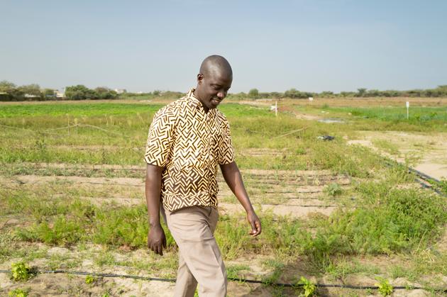 Le médecin et professeur Sidy Mohamed Seck pose dans le jardin thérapeutique et botanique à l’Université Gaston Berger de Saint-Louis.