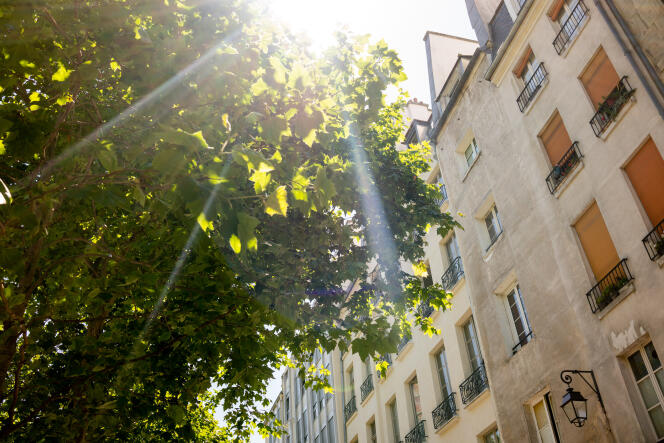 Rayos del sol, place Georges-Pompidou, en París, 16 de junio de 2022.