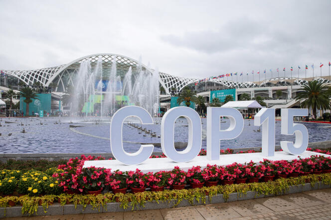 Launch of the COP-15 online, on October 11, 2021 from Kunming, Yunnan Province, China. 