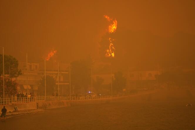 Fire burns trees near a beach in the village of Pefki, on the island of Evia, Greece, in August 2021.