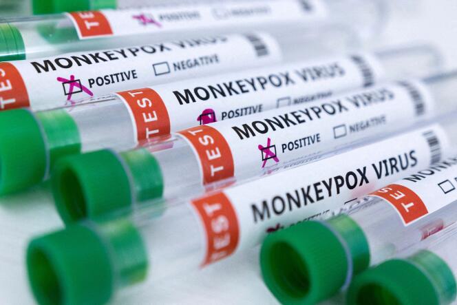 Des tubes à essai étiquetés « virus de la variole du singe positif » sont visibles sur cette illustration prise le 23 mai 2022.