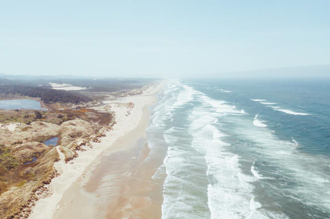 The dunes bordering the Pacific offer landscapes of another world.