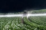 La Commission européenne promet de réduire de 50 % l’usage des pesticides d’ici à 2030... mais retient un indicateur controversé