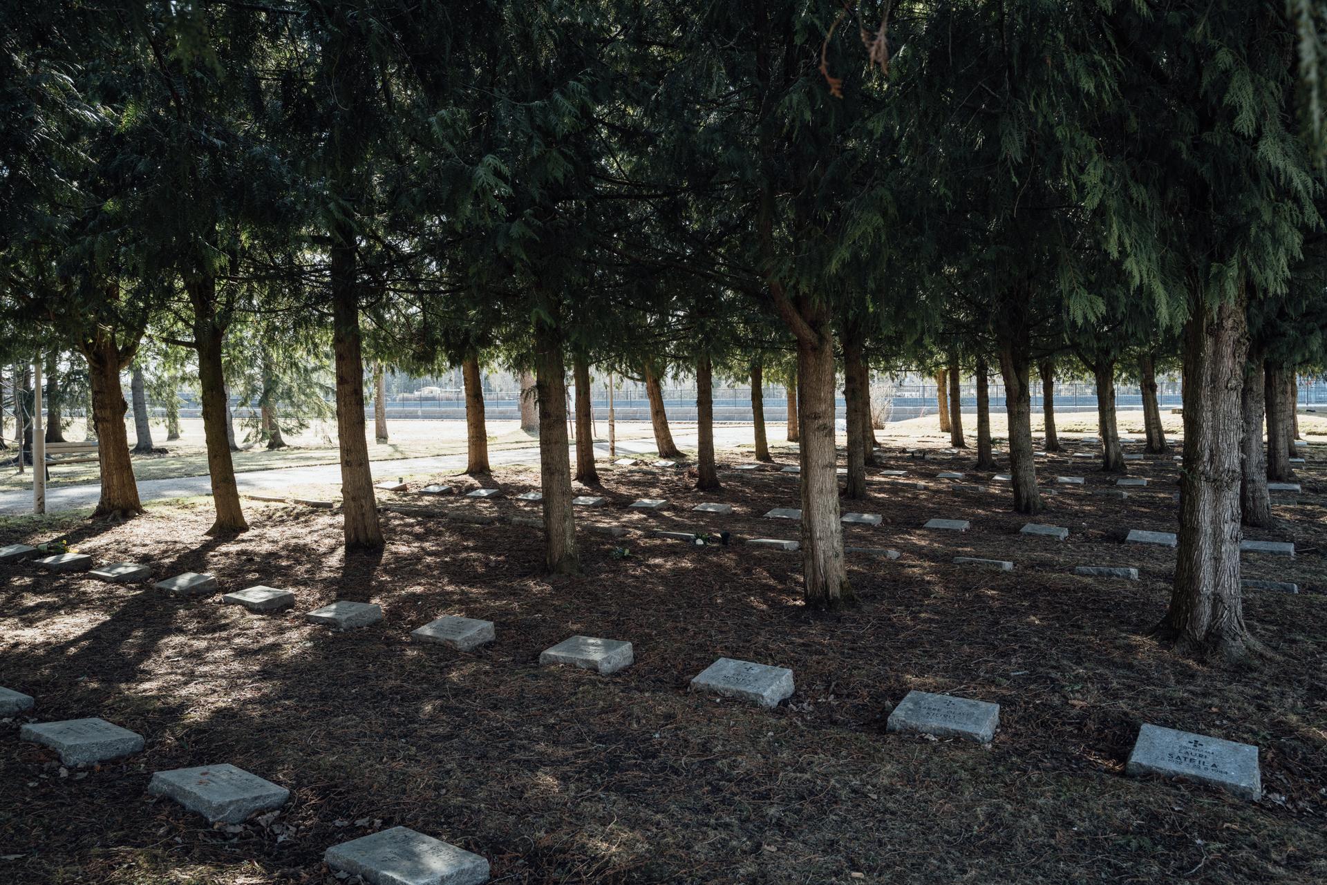 00d9756_1656060084546-reportage-imatra-8