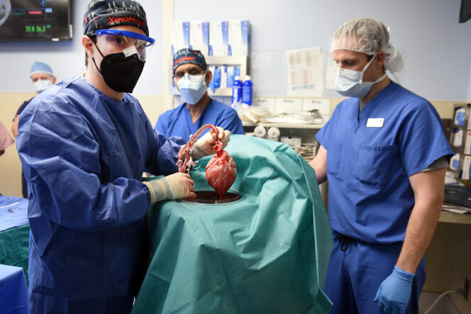 David Bennett i członkowie zespołu chirurgicznego w University of Maryland School of Medicine w Baltimore 7 stycznia 2022 r. 