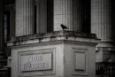 A picture taken on December 4, 2020, shows a crow in front of Lyon Assize Court. (Photo by JEFF PACHOUD / AFP)