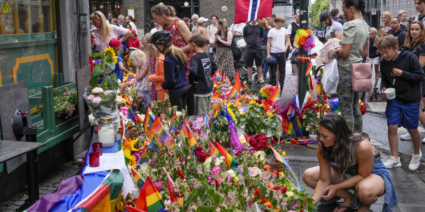 Oslo terrorist attack highlights society's 'vulnerability,' says PM