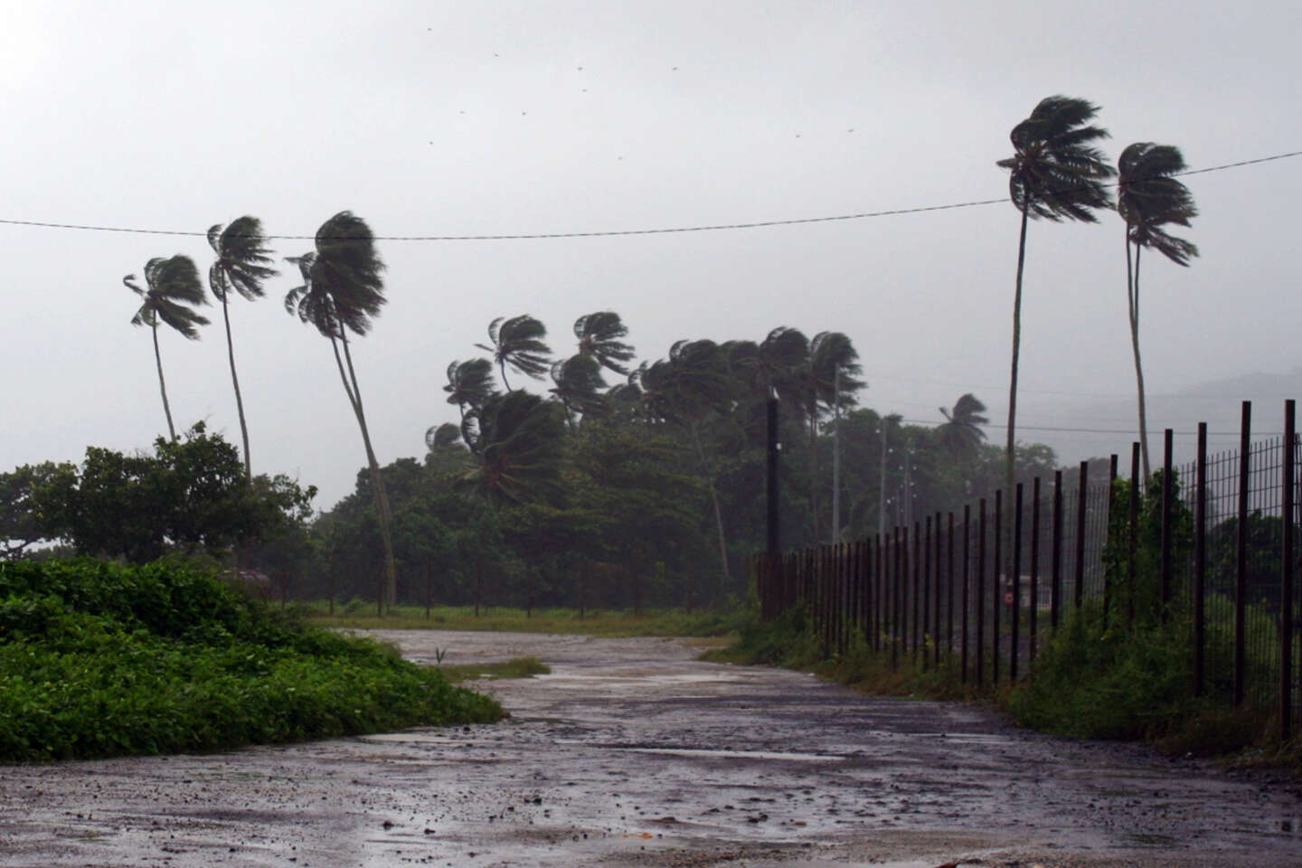 Blonde sauvageonne de Tahiti : « Passage du cyclone », de Jennifer Lesieur