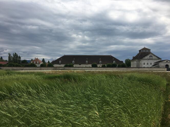 Vue d’un des jardins de céréales du Cercle immense de la Saline royale d’Arc-et-Senans, dans le Doubs.