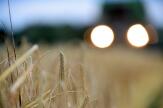 La Cour des comptes européenne dénonce de nombreuses fraudes à la politique agricole commune