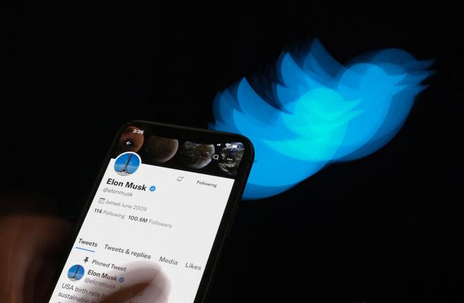 La page Twitter d’Elon Musk.