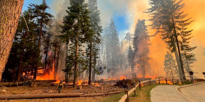 Waldbrände im Yosemite-Nationalpark sind seit drei Tagen außer Kontrolle.