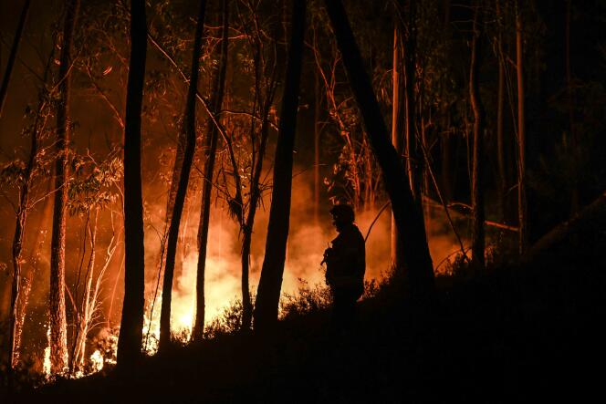 La silueta de un bombero parado en el bosque durante un incendio forestal en Casais do Vento, en Alvaiazere, en el centro de Portugal, el 10 de julio.  Los incendios arrasan el centro y norte del país golpeado por una ola de calor.
