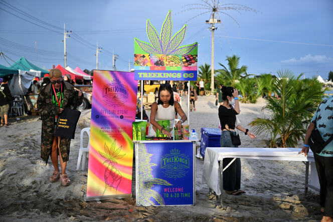Une vendeuse de produits à base de cannabis à l’occasion du salon « Thailand : 420 Legalaew ! », organisé par Highland dans la province de Nakhon Pathom, en Thaïlande, le 11 juin 2022.