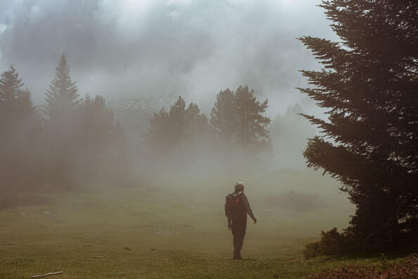 Rene Gregoire marche dans un paturage en altitute dans la forêt d Issau, le 07 mai