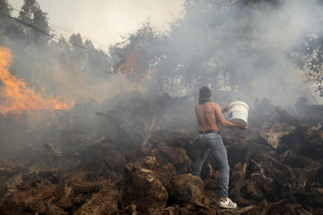 A resident of the village of Figueras, near Leiria, central Portugal, tries to prevent flames from reaching his home, Tuesday, July 12, 2022.